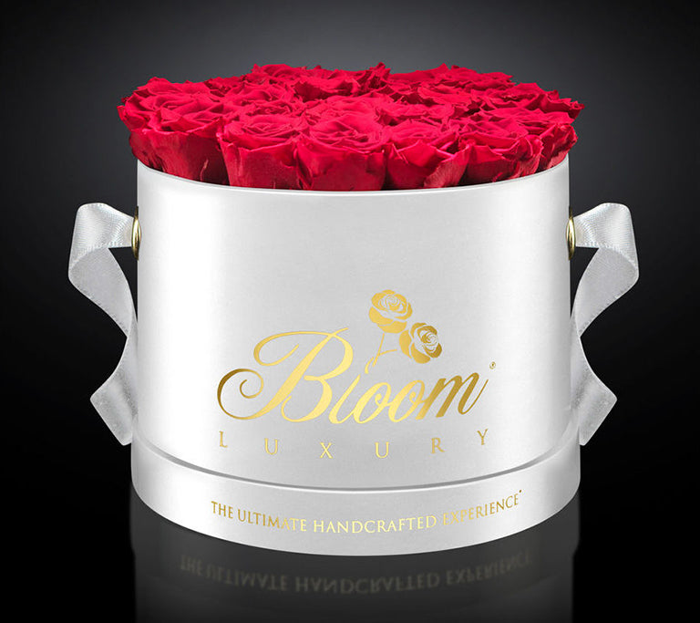 La Rose Preserved Beauty Naturally Scented 4 XL White Roses in Luxury Round Hat Box Handmade from Ecuador Perfect for Gift and Decoration.